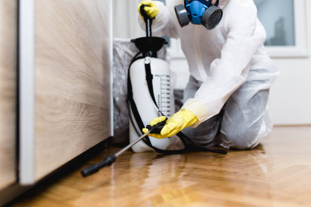Best Cockroach Control Services  in Clarksville, TN