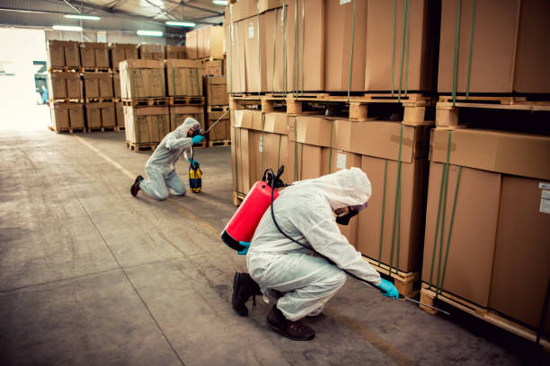 Best Affordable Pest Control Services  in Clarksville, TN