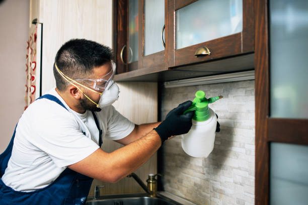 Best Bed Bug Extermination  in Clarksville, TN