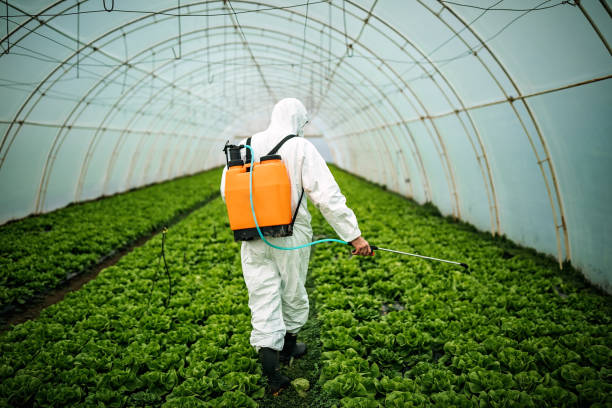 Best Pest Inspection Near Me  in Clarksville, TN