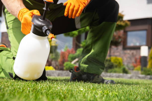 Best Best Pest Control Companies  in Clarksville, TN