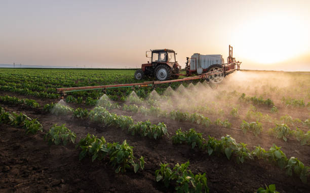Best Commercial Pest Control Services  in Clarksville, TN