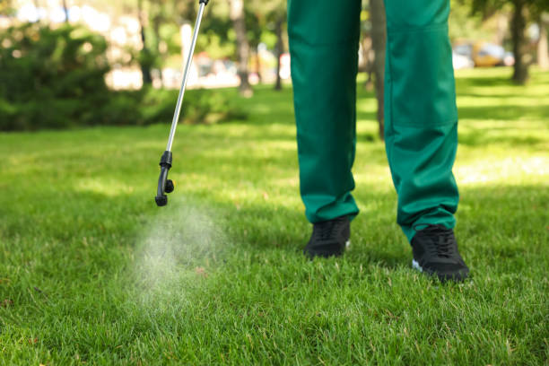 Best Wasp Removal Services  in Clarksville, TN
