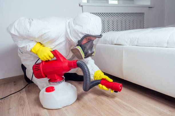 Best Insect Control  in Clarksville, TN