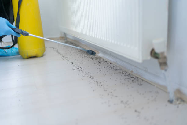 Clarksville, TN Pest Control Company