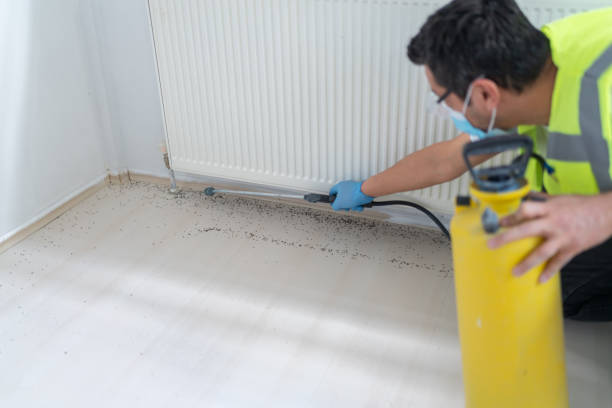Best Exterminator Services  in Clarksville, TN