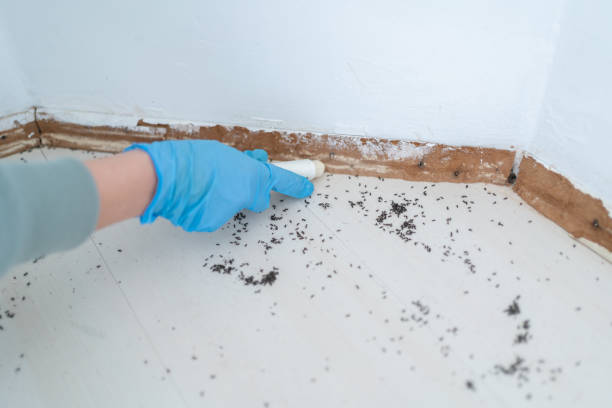 Best Pest Removal Services  in Clarksville, TN